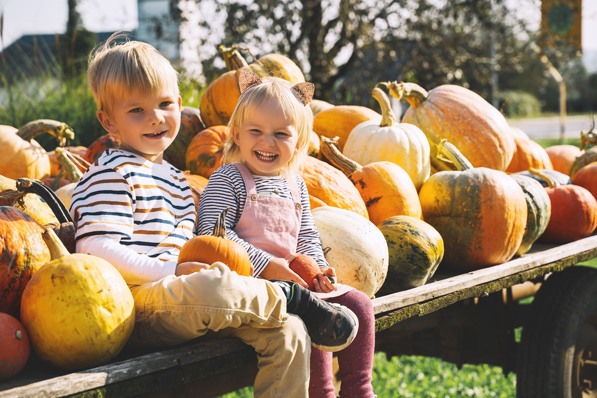 Find Fall Festival Fun Around Georgetown, TX